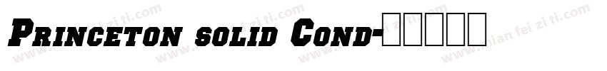 Princeton solid Cond字体转换